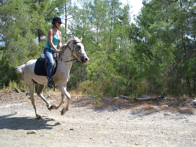 Alanya Horse Riding Tour Activities