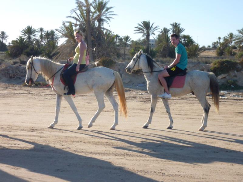 Alanya Horse Riding Tour Activities