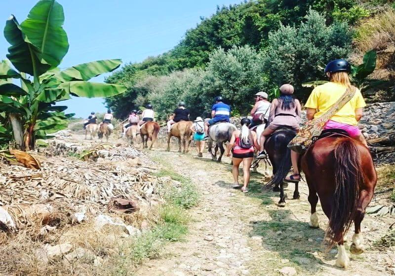 Alanya Horse Riding Tour Activities