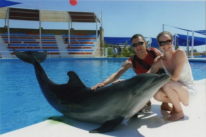 Alanya Dolphın Show Excursion Alanya