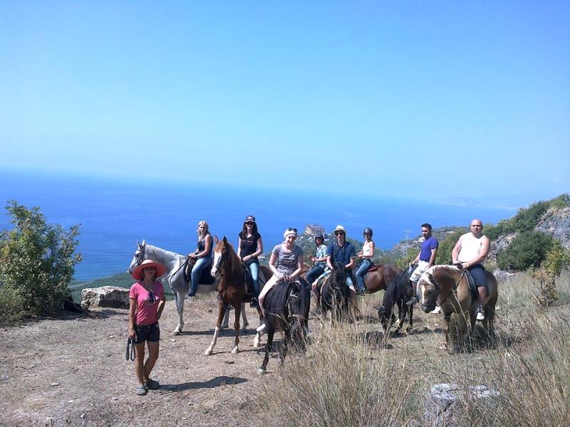 Alanya Horse Riding Tour Activities