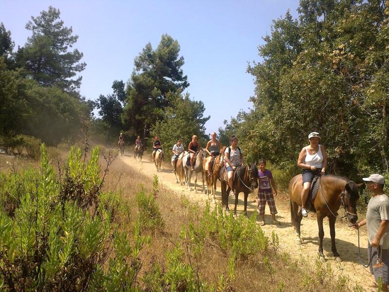 Alanya Horse Riding Tour Activities