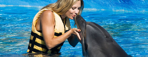 Alanya Dolphın Show Excursion Alanya
