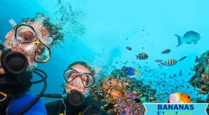 Alanya Scuba Diving Excursion Discover Underwater World
