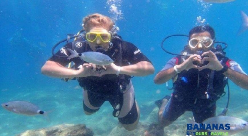Alanya Scuba Diving Excursion Discover Underwater World