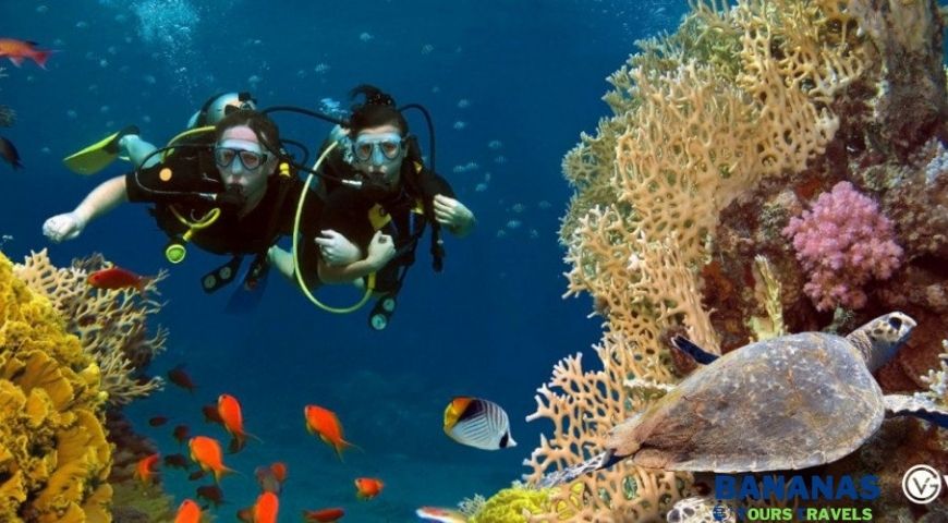 Alanya Scuba Diving Excursion Discover Underwater World