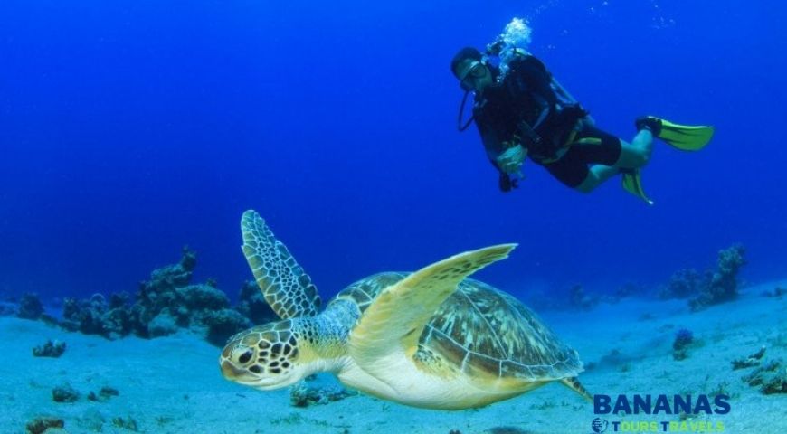 Alanya Scuba Diving Excursion Discover Underwater World