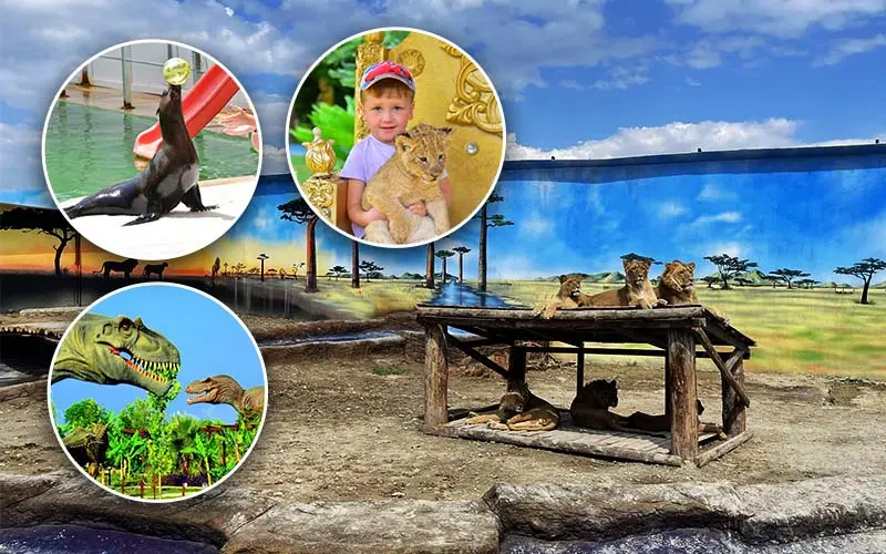 Best Mix Panther Tour Eftalia Activities Things to Do