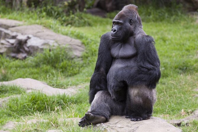 Best Mix Panther Tour Eftalia Activities Things to Do