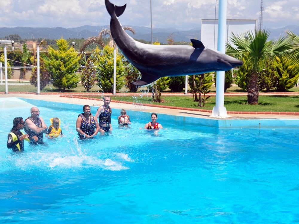 Swim With Dolphins Experience Best Things To Do Near Eftalia