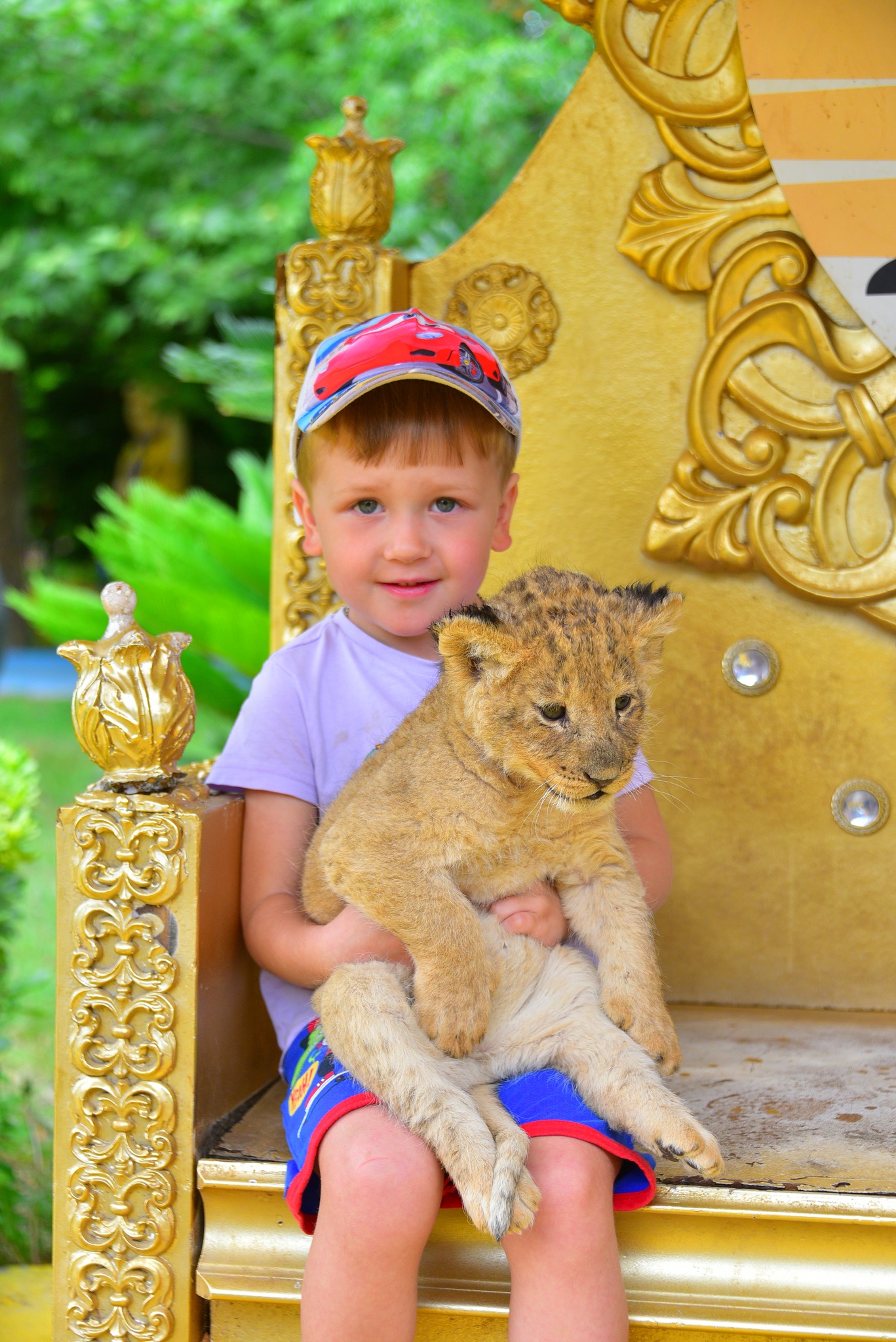 Best Mix Panther Tour Eftalia Activities Things to Do