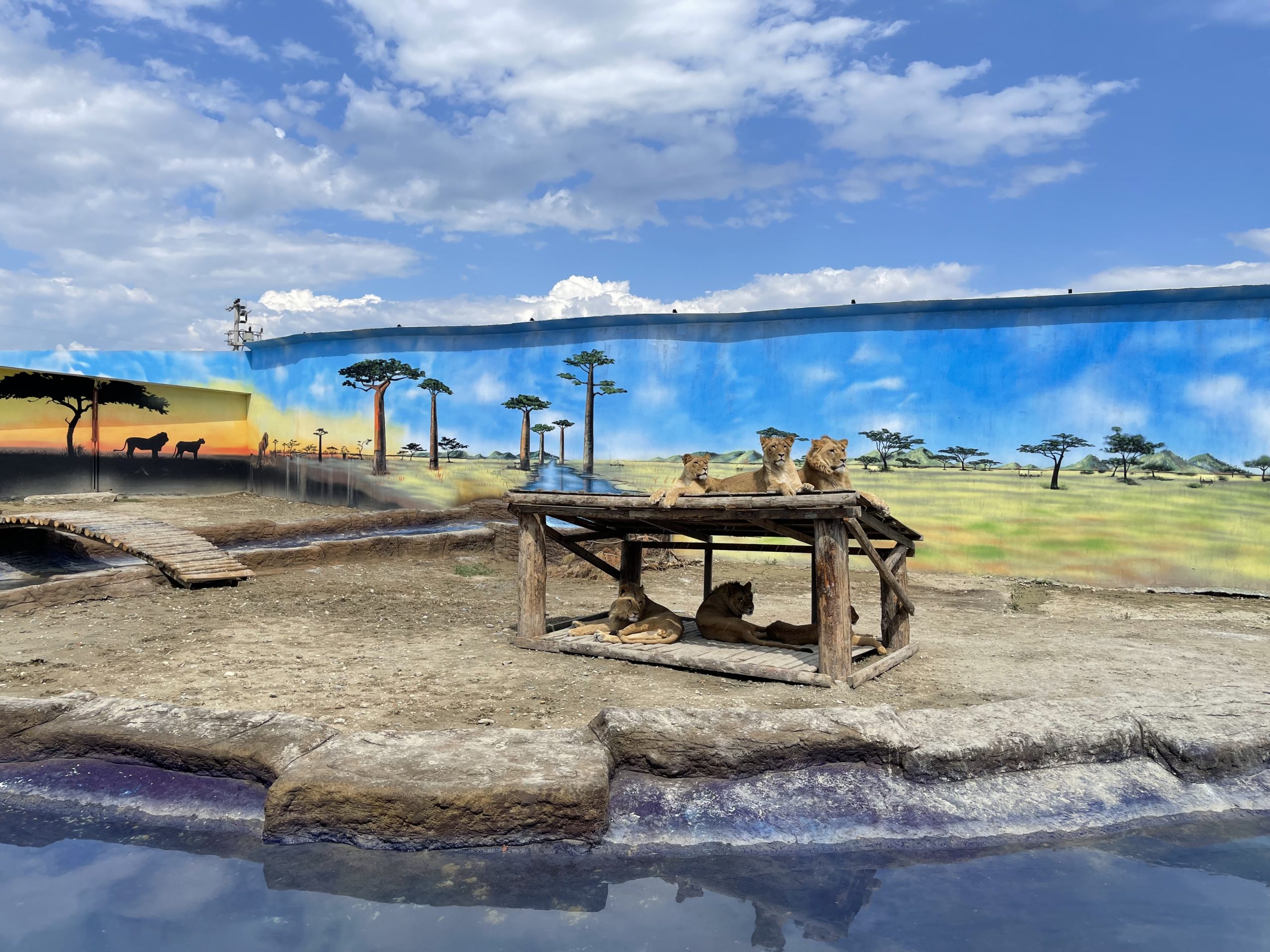 Best Mix Panther Tour Eftalia Activities Things to Do